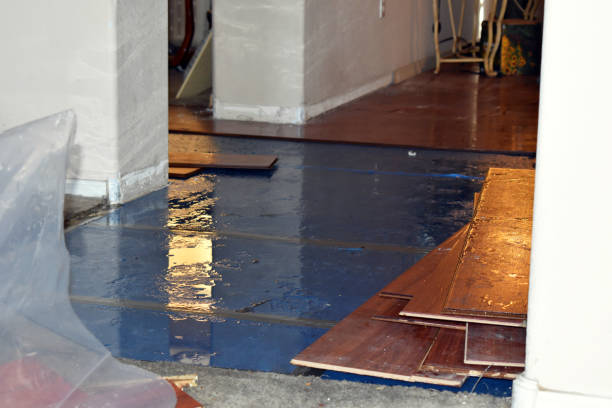 Professional Water Damage Restoration technician working in Langlois, OR